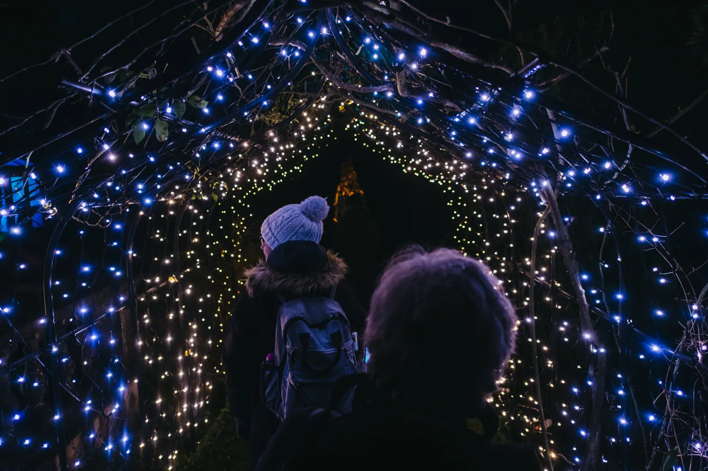 Visitors walking into a tunnel of white and blue fairy lights