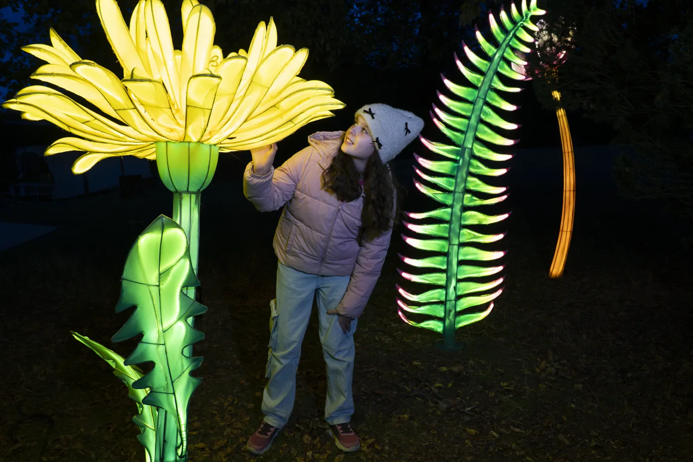 A child beside a tall glowing flower lantern and a lit fern